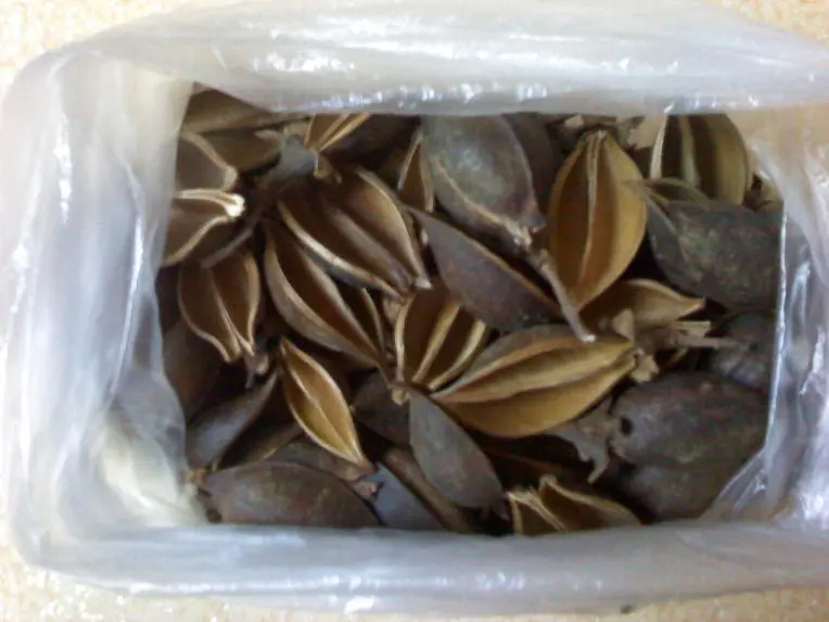 1473FC564D3D380609EC88