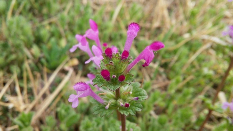 210239485702314F022BA0