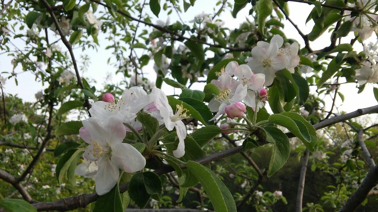 271D9438571DF44624FDB7