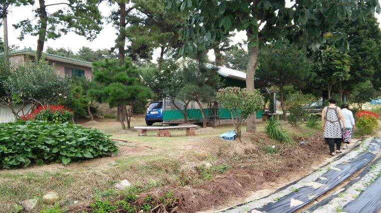 9969C23359A7DC29197314