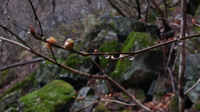 99AE9D405EBE1C691A7E59