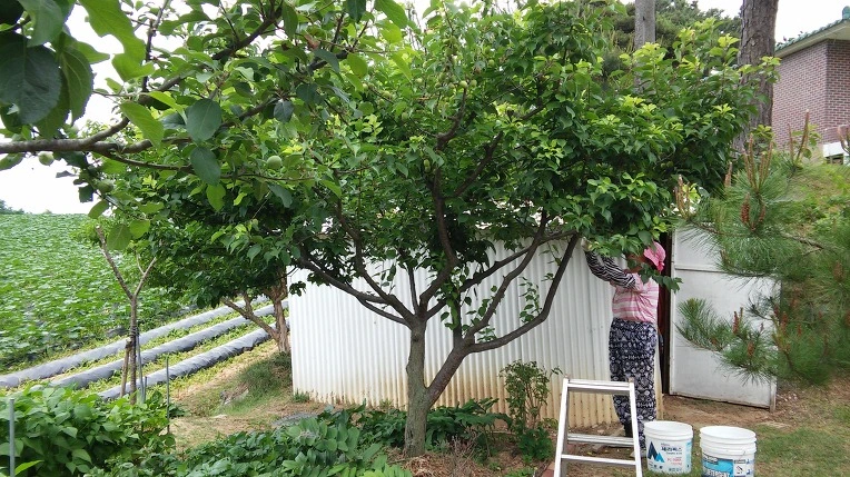 247B16465756173E0D0C02