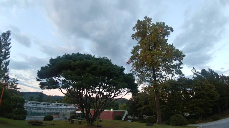 9929B6365C2758AF2A4DAC