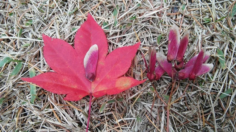 2661D13E569F2AF41E229C