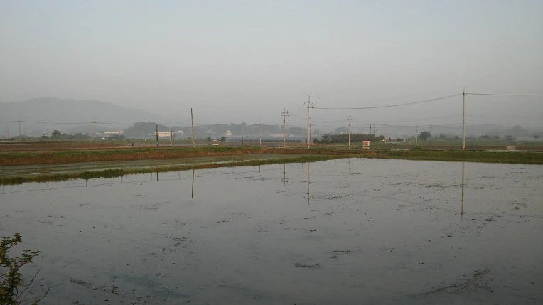 264F1137572E66C41A0E10