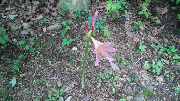 9910FD335984F67B117EC4