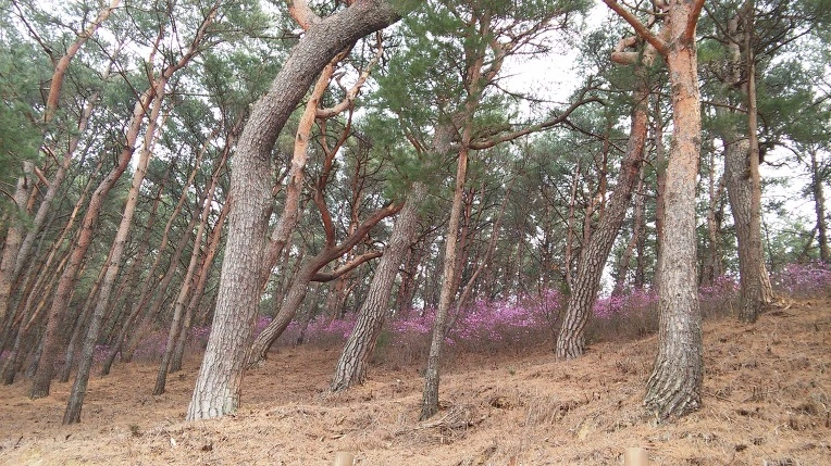 2338B14458D8DBB8087EA7