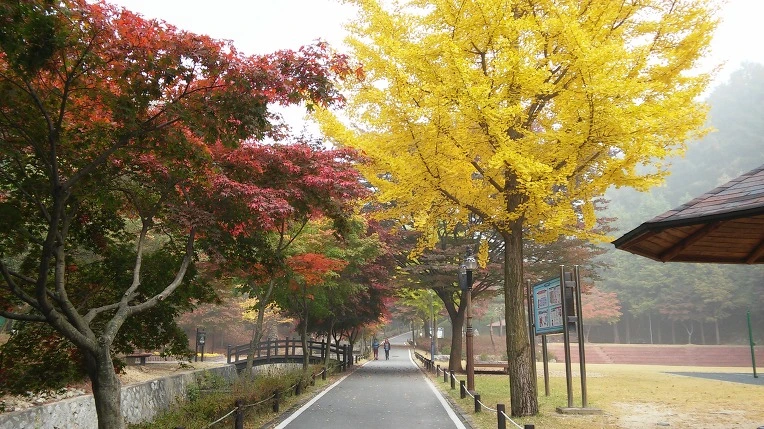 260B63385625E5A00DFA2C