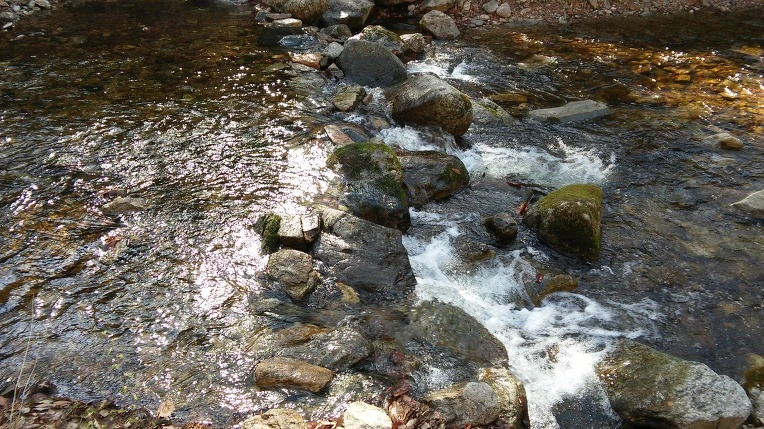 2703DC4658F7E04305797E