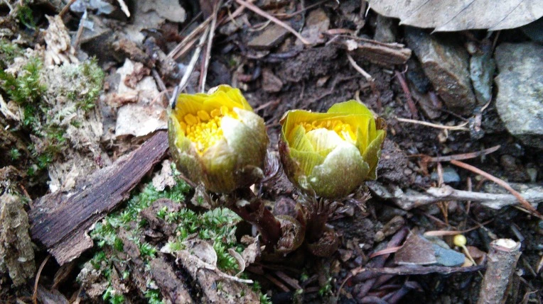 2127734056D1086C2A9ED5