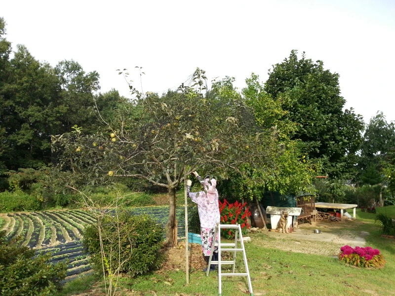 2656A846541A947005B078