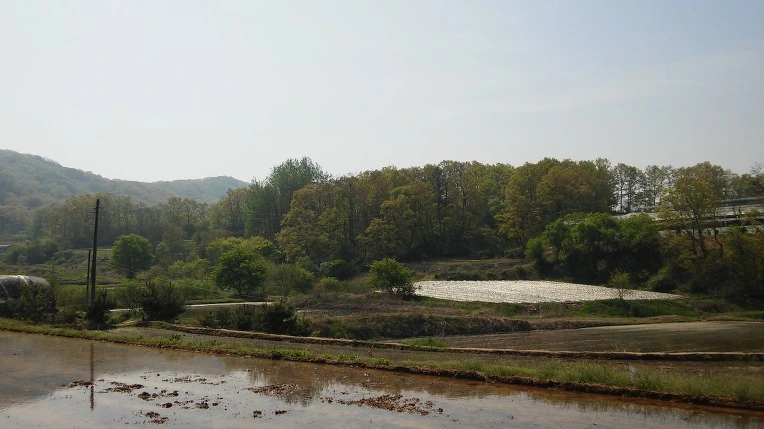 27109F39571EEE5D306574