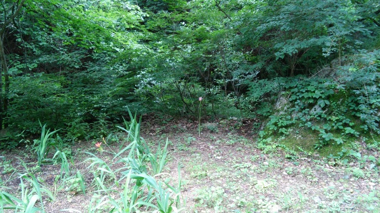 99AD98335984F67007C9D7