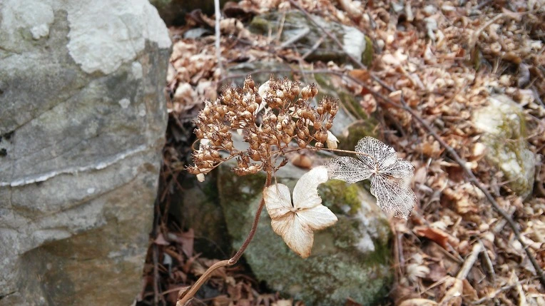 22423B4F58DC9A99106C91