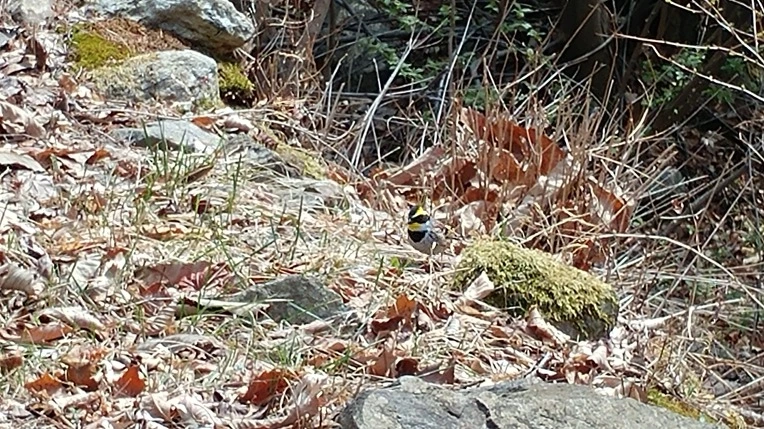 99175C485AC8A21E21FC8A