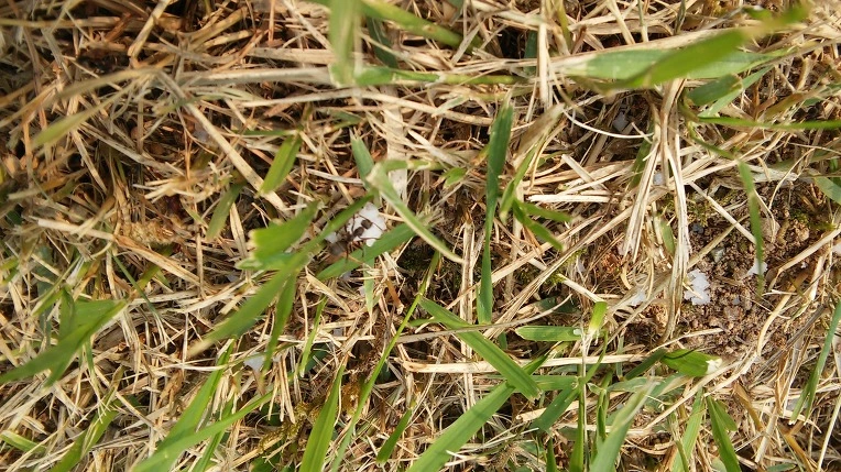 222A6A3D5745884A15E322