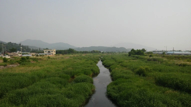 220DB136575A229B1867CE