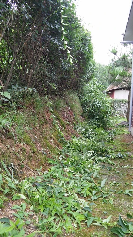 244D0E33578C5B7D1BFE3E