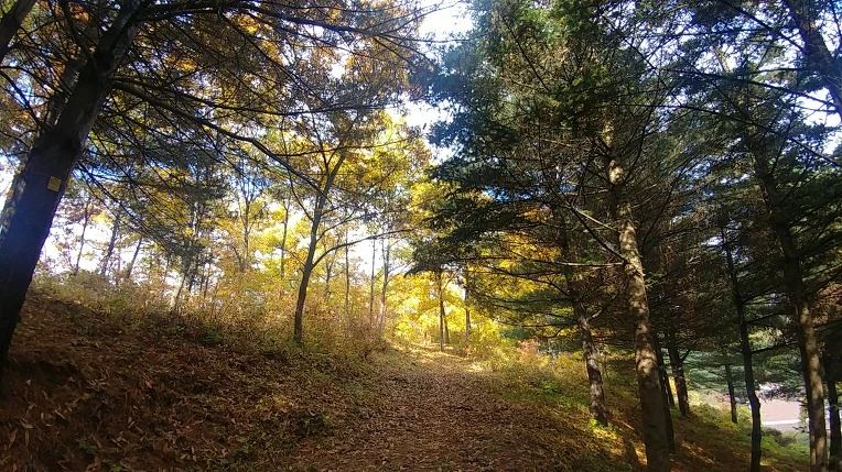 996D743C5BD6AD512F2AFC