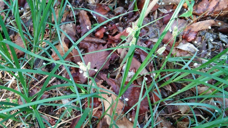 2768F64757292CF5305765