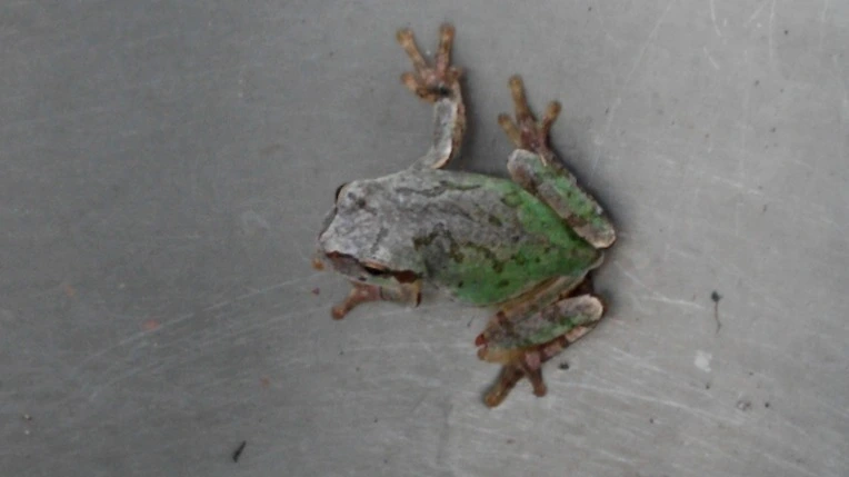 275EE6495771F4112B2F1B