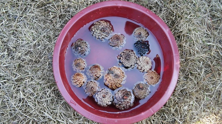 27093C4E56FE1A16067294