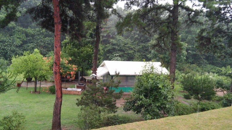 2414D4435779B022193074