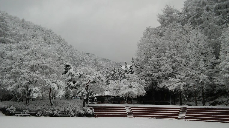 25521133565F94002F7C68