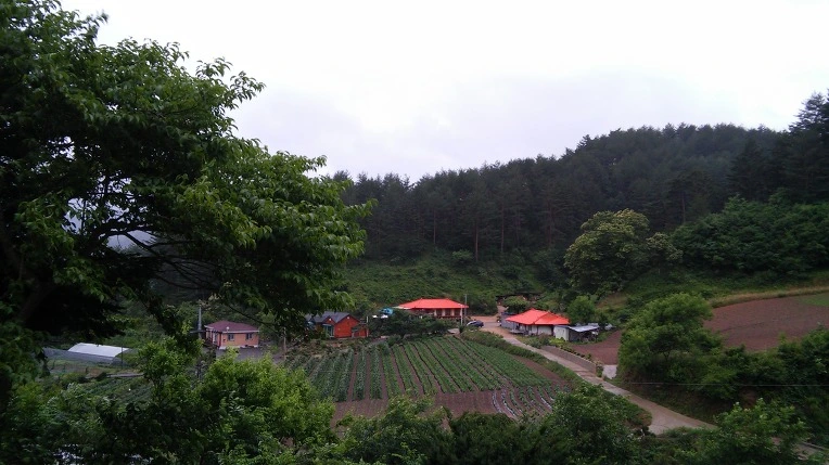 241D3C3A59596CEE17D81A