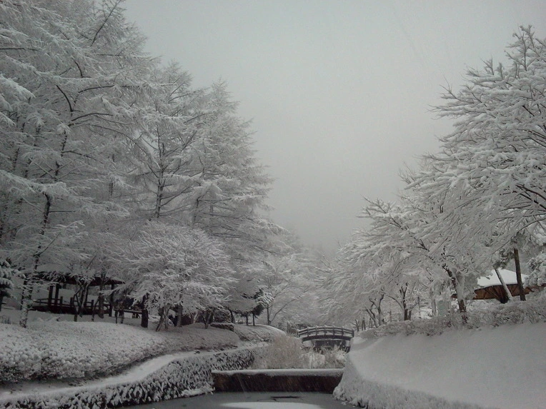 247CA03C564D22162B204A