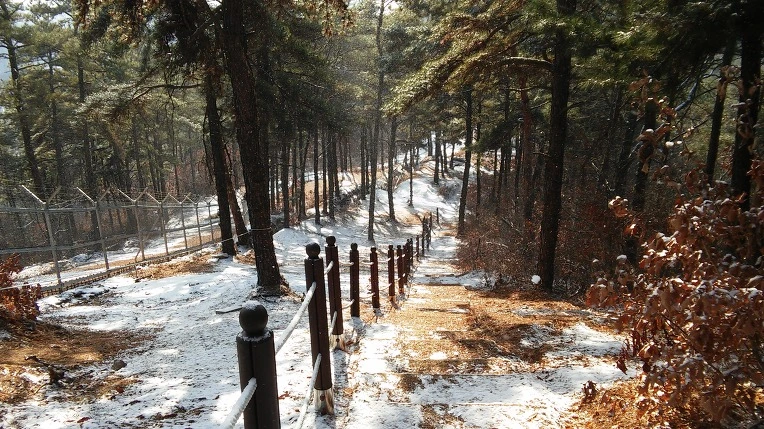 234D43475878B23B1B8C1B