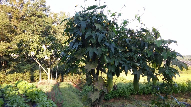 25792D3957E3A32424089D