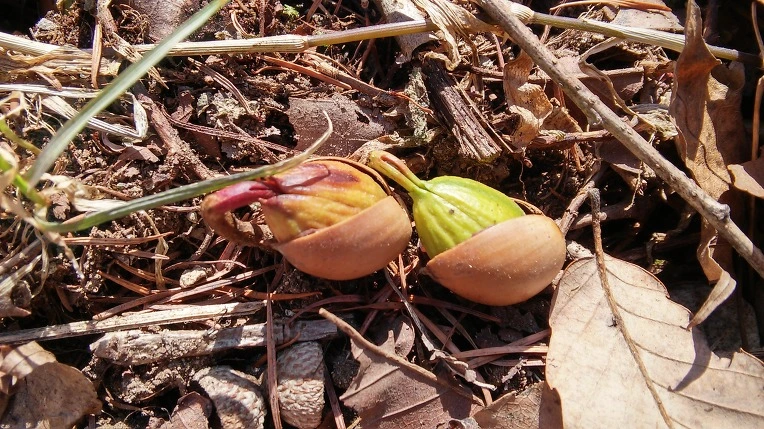 270DAA345501393930C127