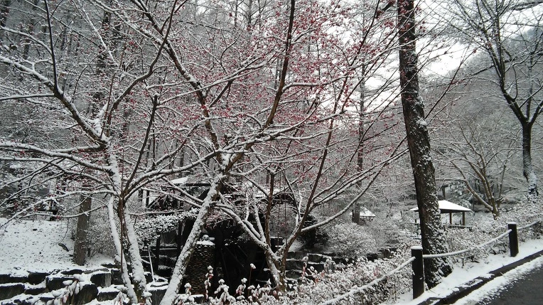 224BE7395656A5320B4A18