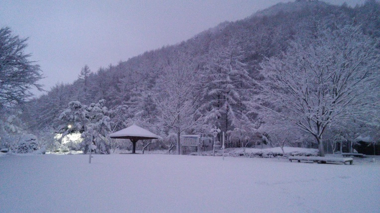 232EB53F566009011387E0