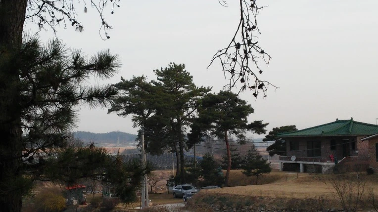 2411F14256FC8BEA14FEFA