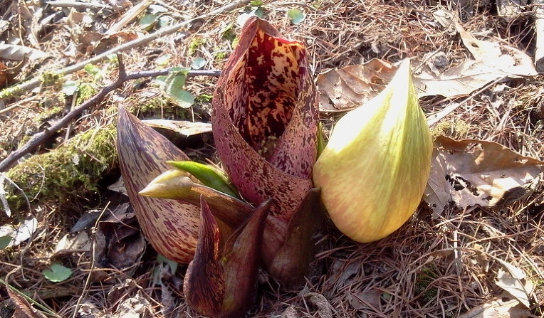 237D1B355892AACD077FA8