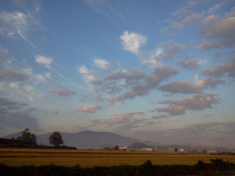 273E9C3C54241858203D98