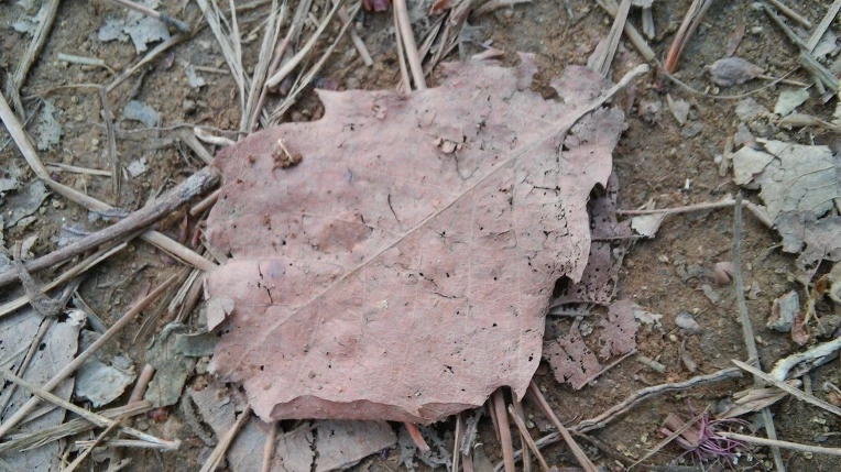 24189347572697020CD5A2