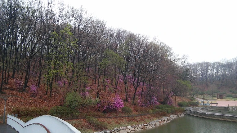 23537C5057059CD92872A3