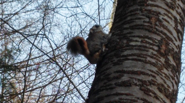 2323803B551F5256124BB1