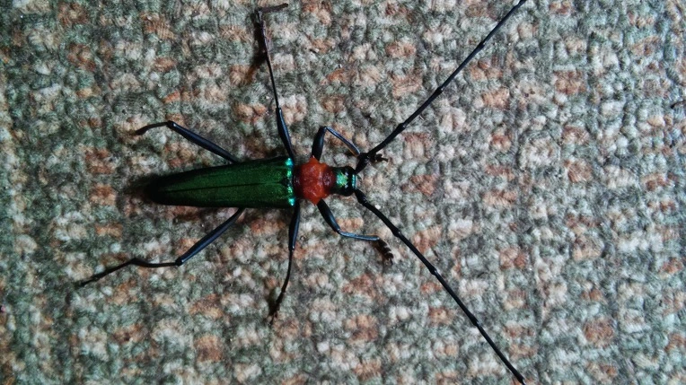 99B7693359CB17D5346998