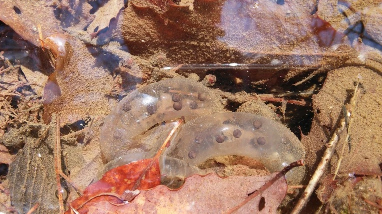 275E6A3B56F39145277C53