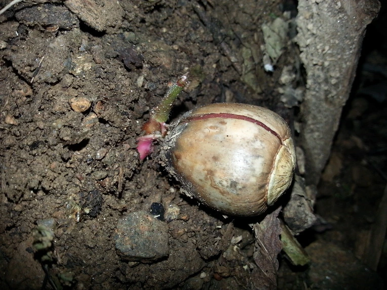 992B083D5D74946012A5A6