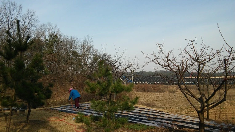 2518144256FC8CEE143F67