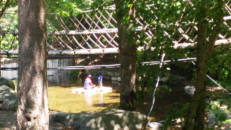 221F433E59445A0E307056