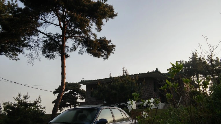 26448434572E66DC247507