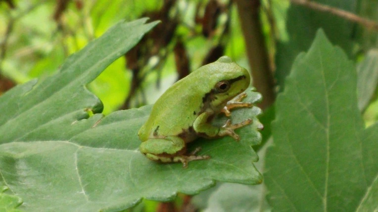 2607D94756B026E52795FB