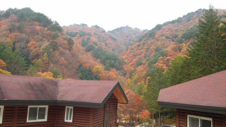 99591B335A0ED11C223ABA