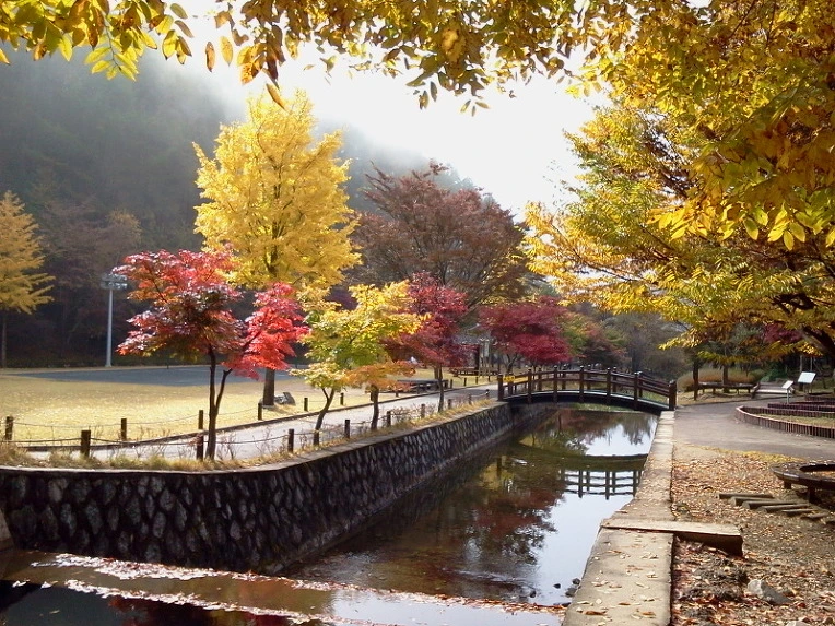 0265234D51259F8B03BDC9